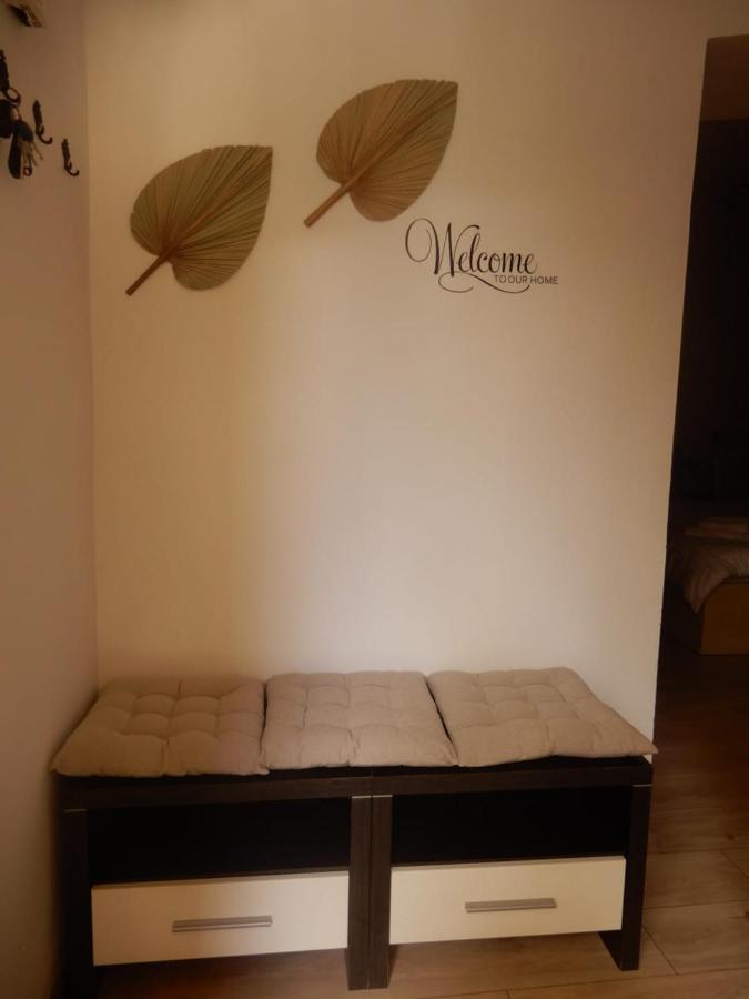 Vania Studio Apartment Sibiu Exterior photo