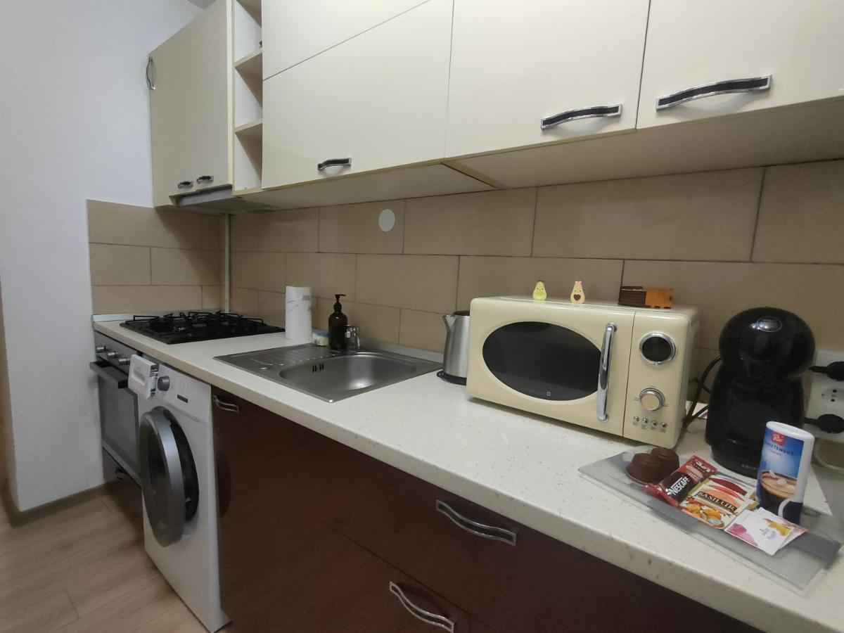 Vania Studio Apartment Sibiu Exterior photo